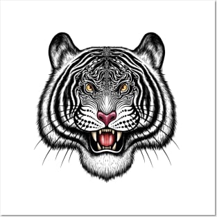 Tiger bengal tiger Siberian tiger big cat Posters and Art